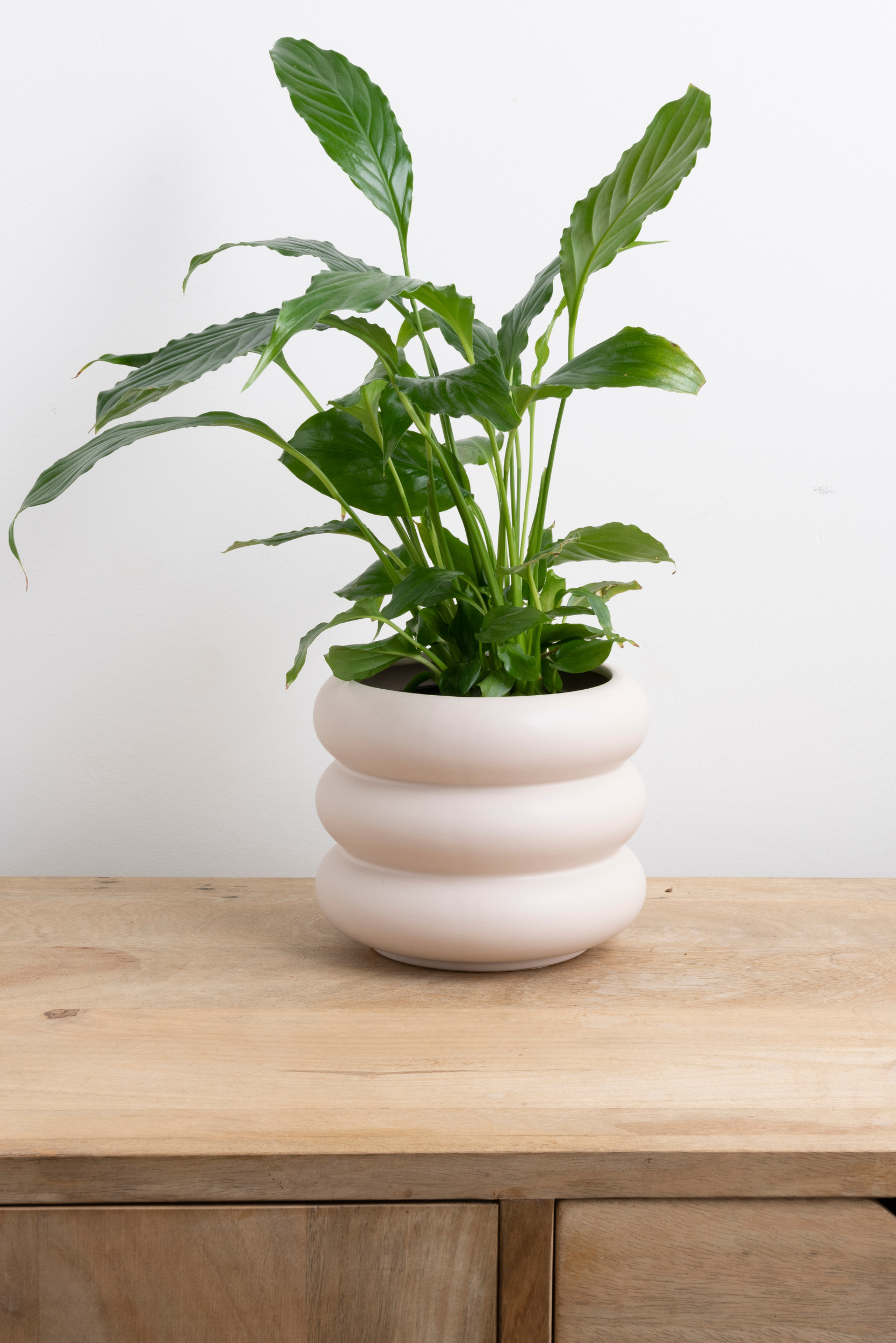 Milan Planter Small - Parchment