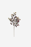 Tall Eucalyptus Populas Spray – Burgundy/Green