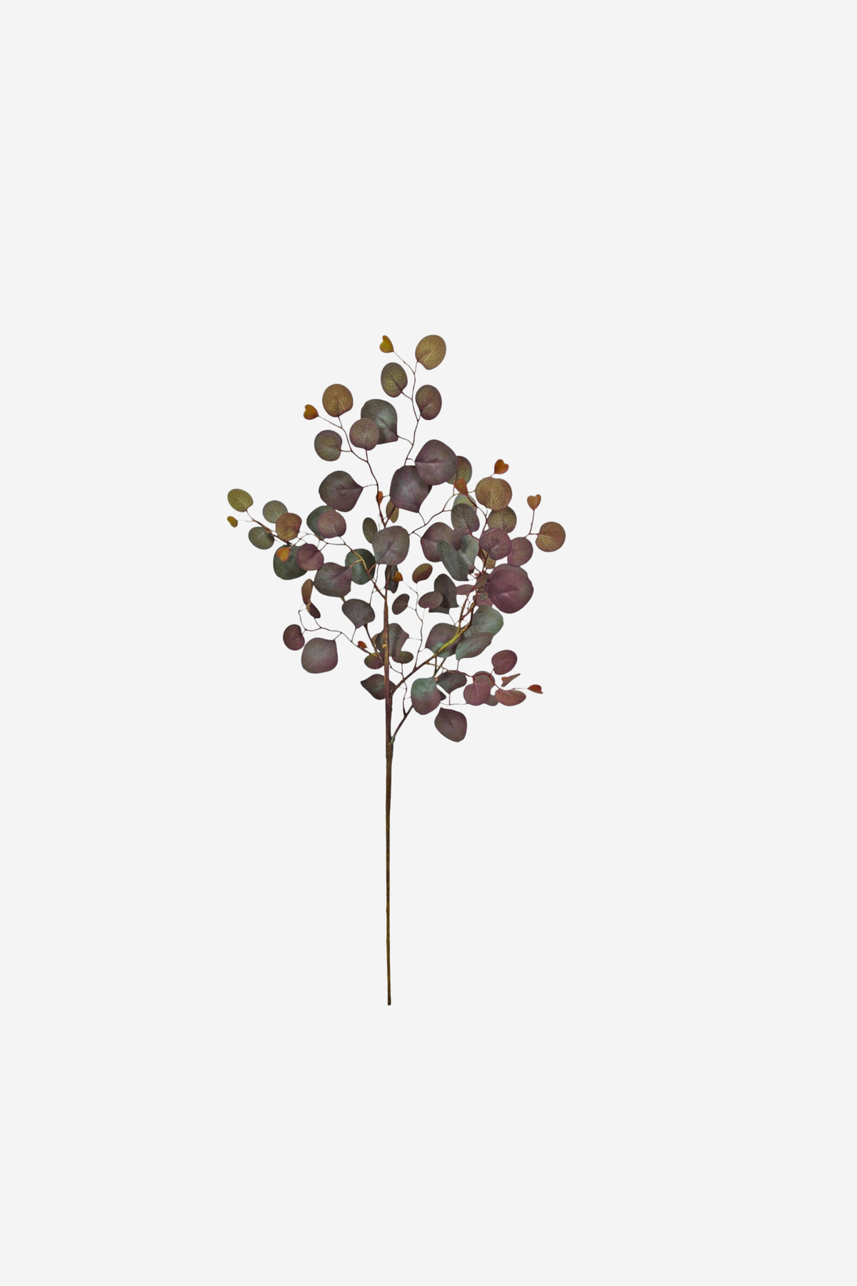 Tall Eucalyptus Populas Spray – Burgundy/Green