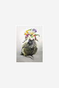 Freesia Kahlo Art Print Box Frame