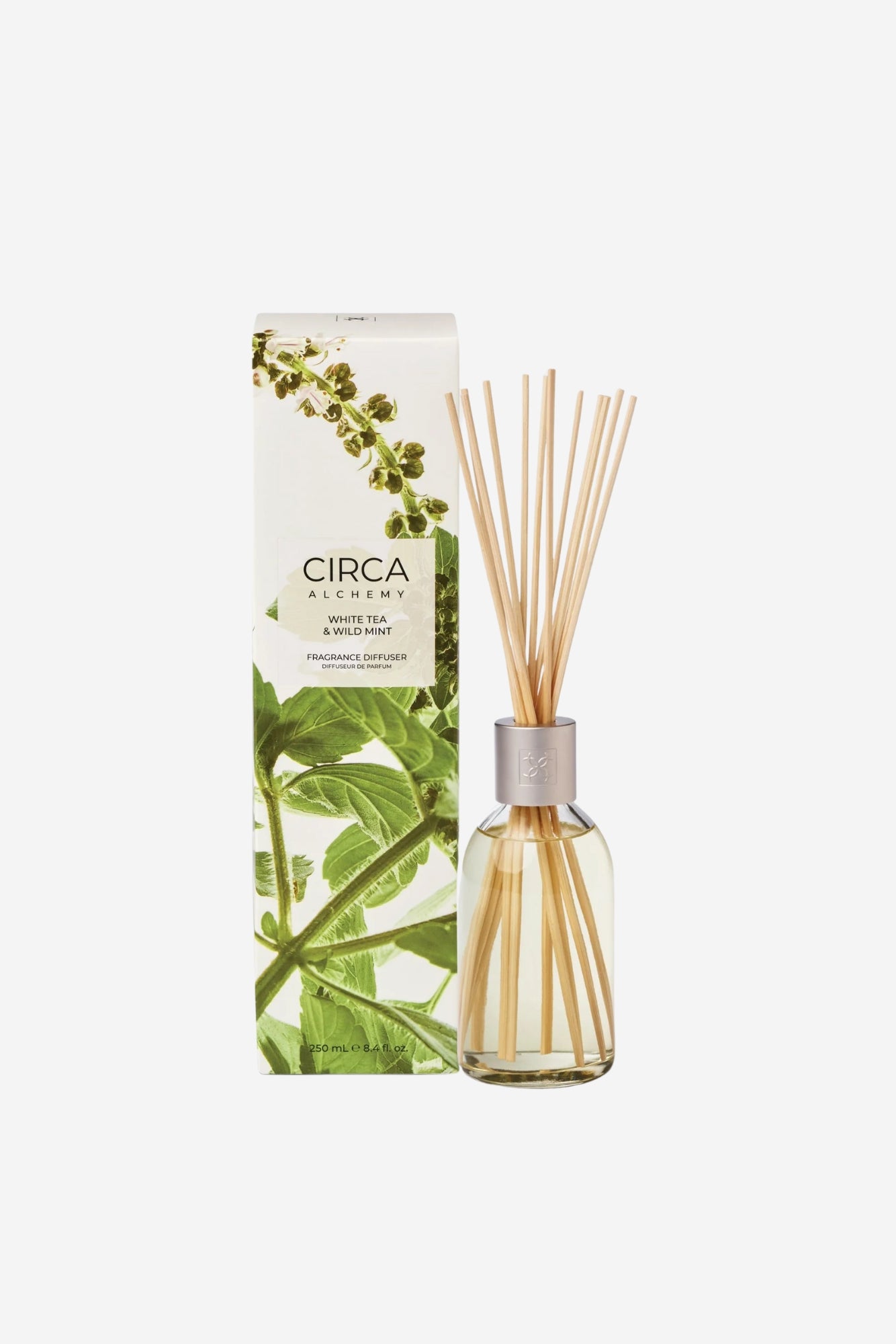 Circa Alchemy Diffuser - White Tea & Wild Mint