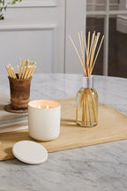 Circa Alchemy Diffuser - White Tea & Wild Mint
