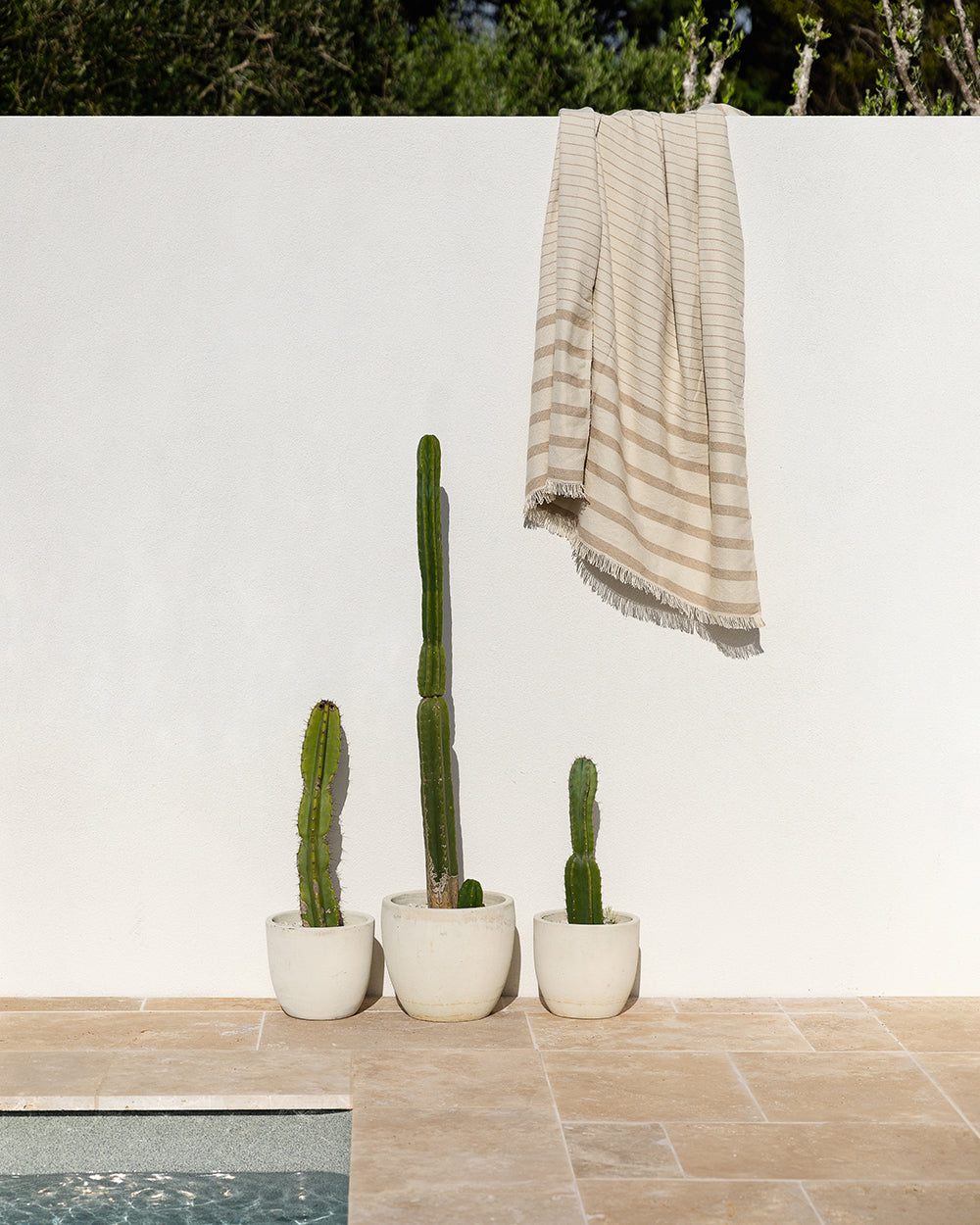 Banksia Throw - Almond