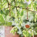 Apple Bird Feeder - House
