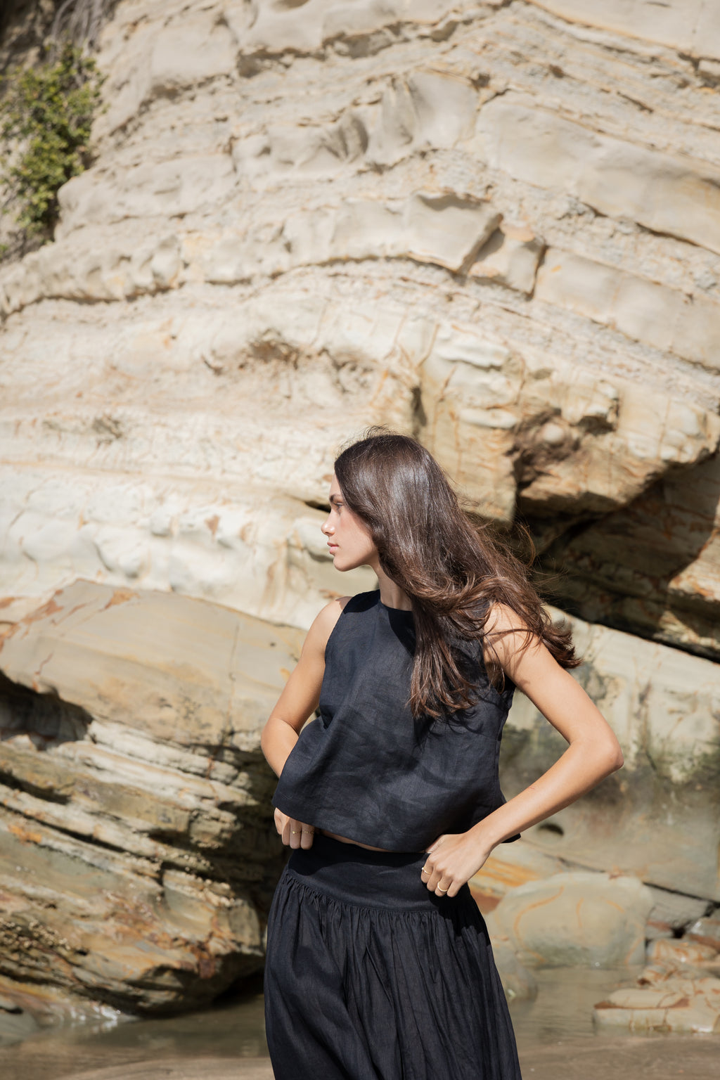 Shell Buttons Top