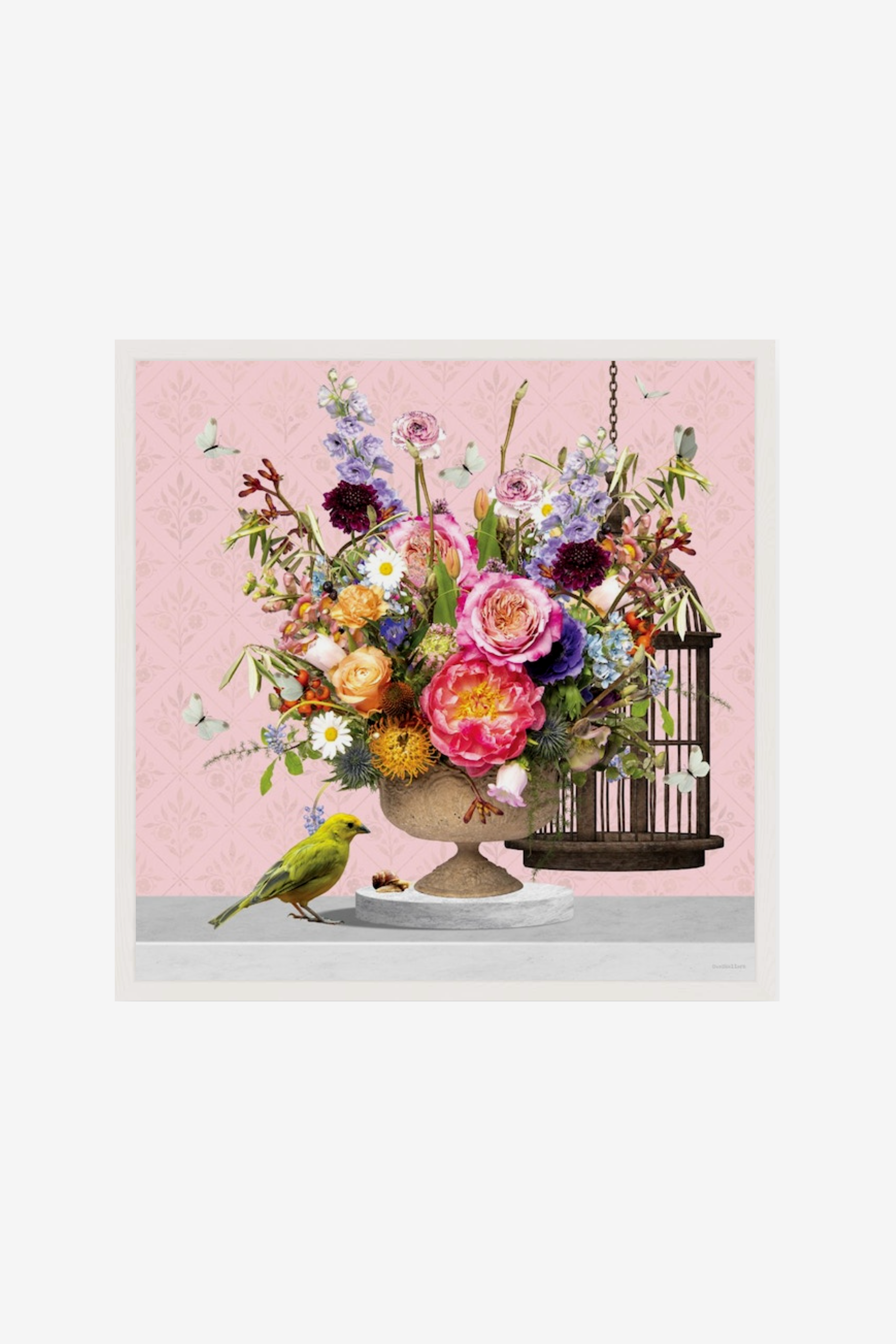 Sweet Canary Art Print Box Frame