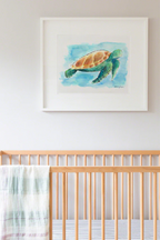 Walter the Turtle