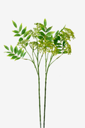 Sorbus Spray