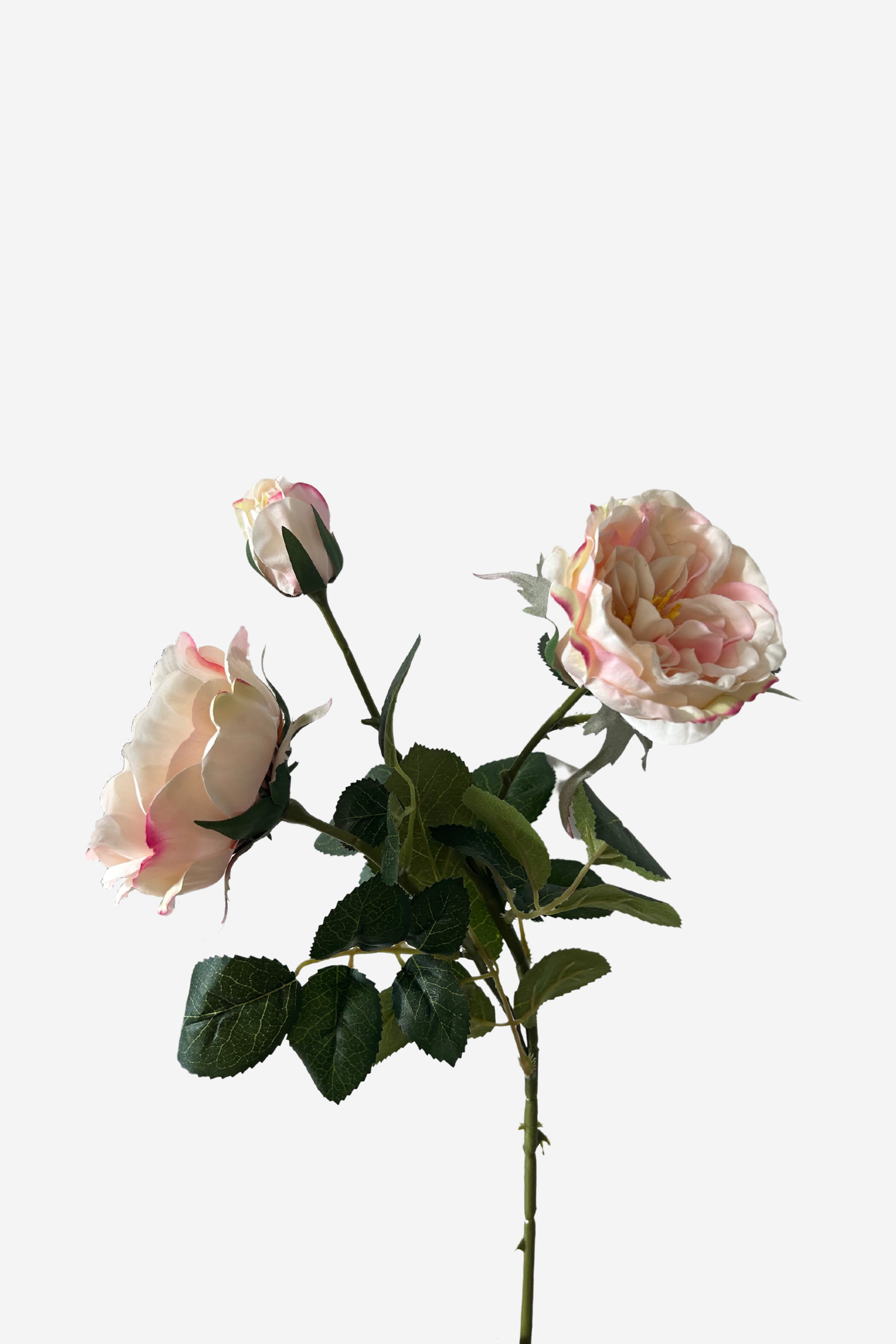 Darby Rose Spray - Light Pink