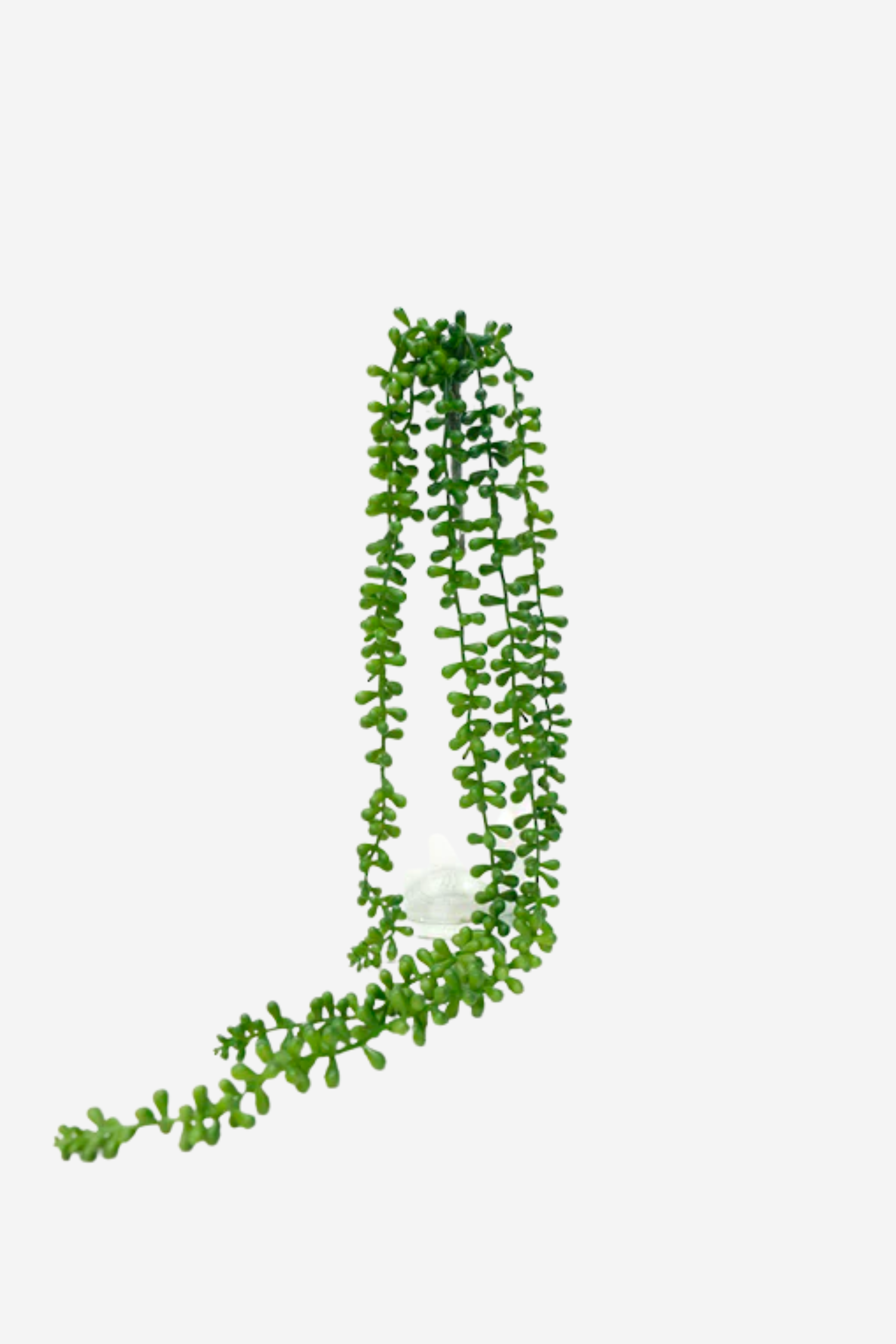 String of Beads Succulent Green 73cm
