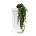 Potted Pea Leaf Hanging Bush