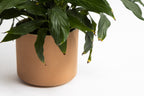 The Fot Pot - Square Base