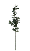 Eucalyptus Spray - 74cm