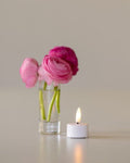 LED Tealight Candles - Set of 6