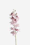 Real Touch Moth Orchid - Pink/White