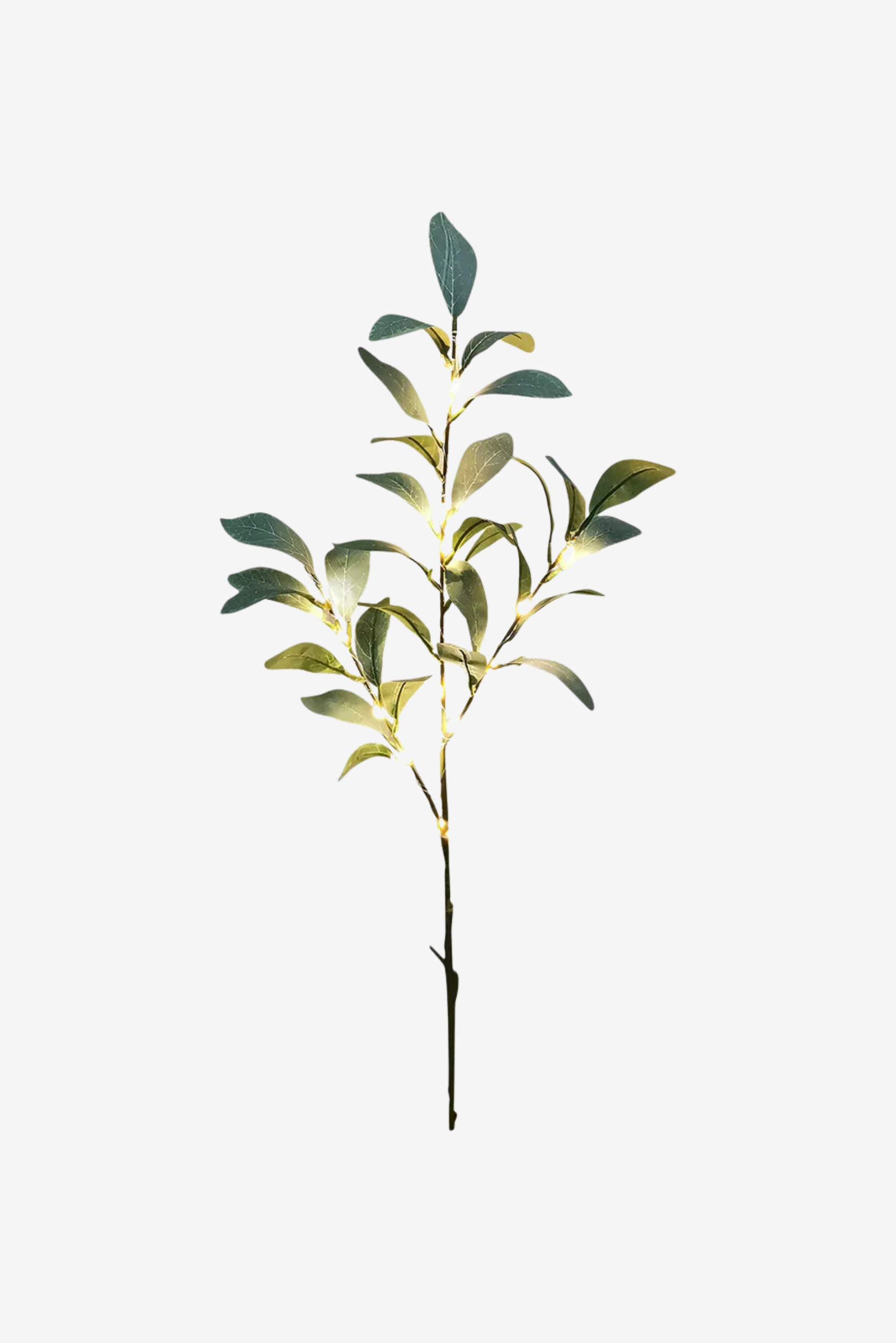 Olive Branch Light - Small
