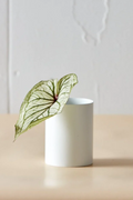 Baby Vase - White