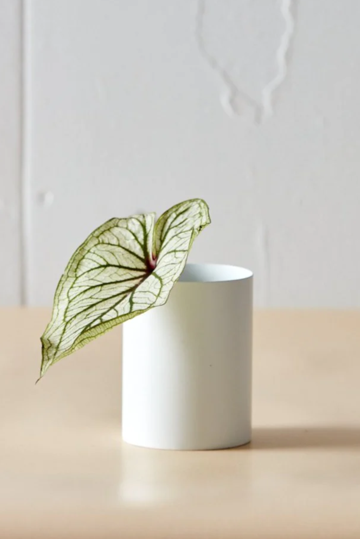 Baby Vase - White