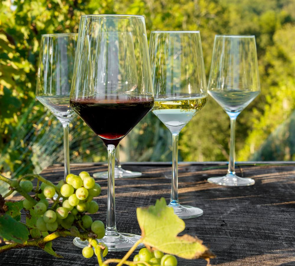 PURE Cabernet Wine Glasses - Set Of 2